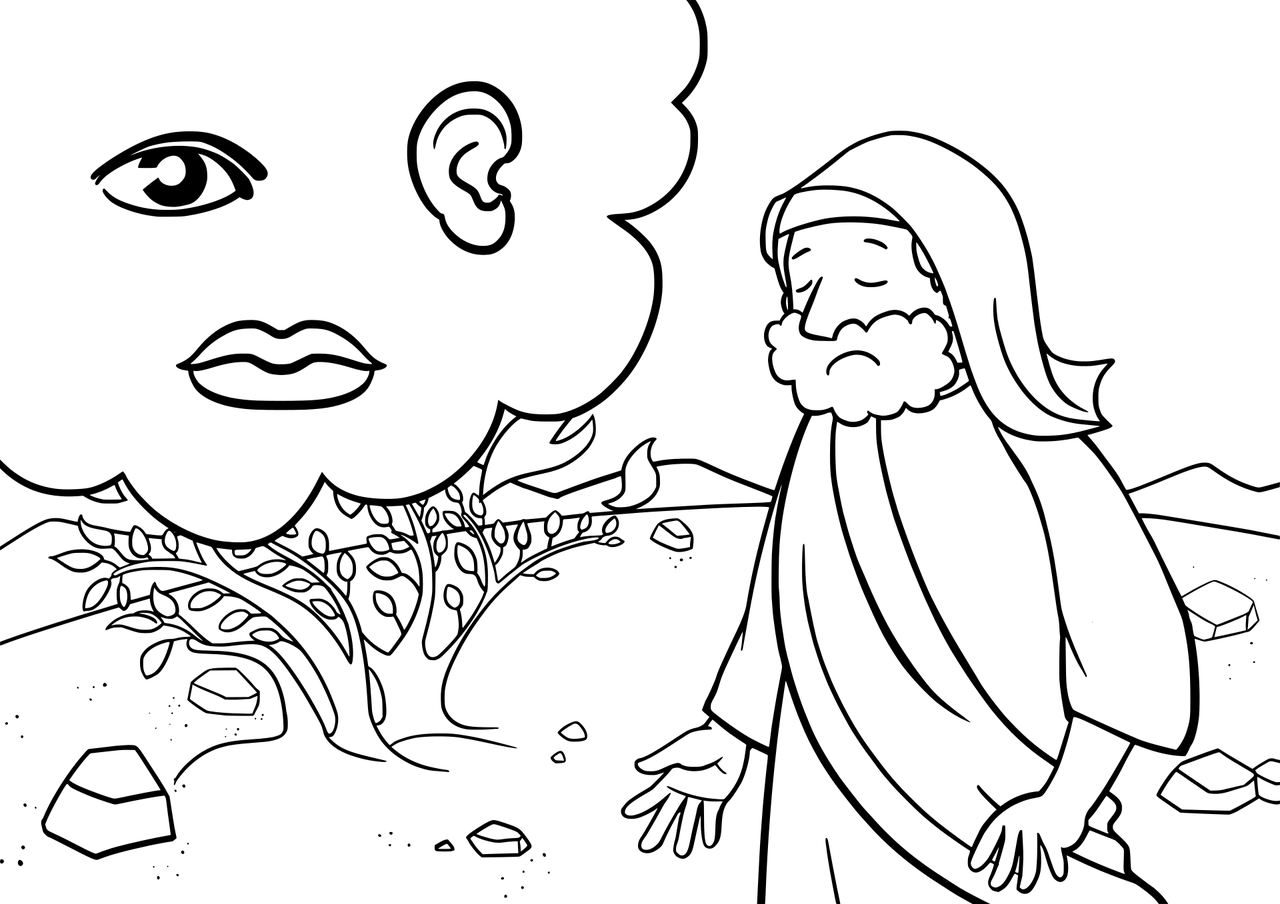 文化传承 第64页